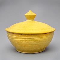 Roberta Klein casserole